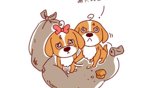 🍜有宠百科 第59话 第4页