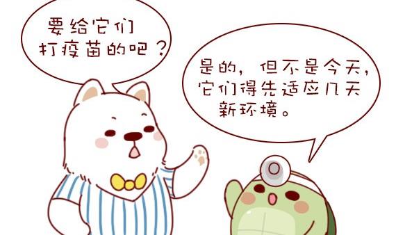 🍜有宠百科 第59话 第8页