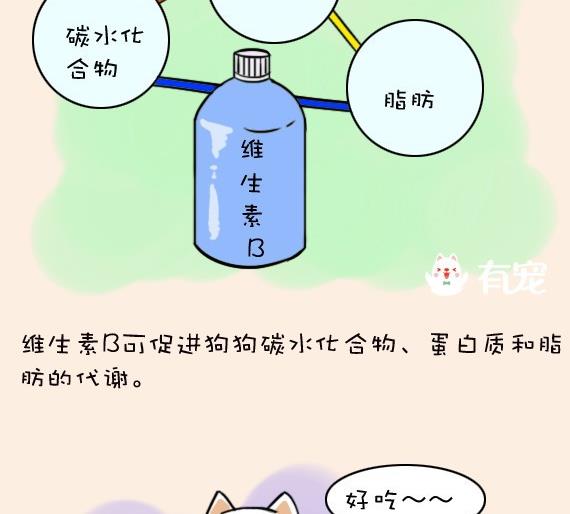 🍜有宠百科 第7话 第10页