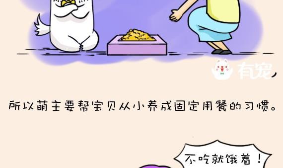 🍜有宠百科 第7话 第4页