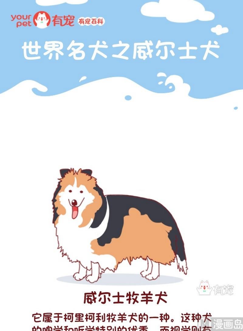 🍜有宠百科 第61话 第1页