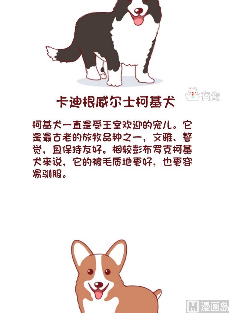 🍜有宠百科 第61话 第4页