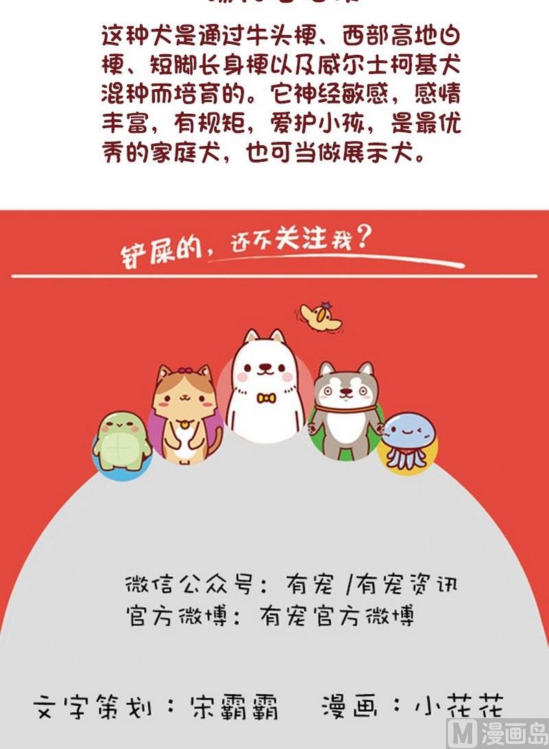 🍜有宠百科 第61话 第6页