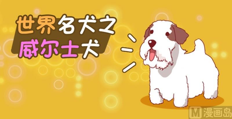 🍜有宠百科 第61话 第7页
