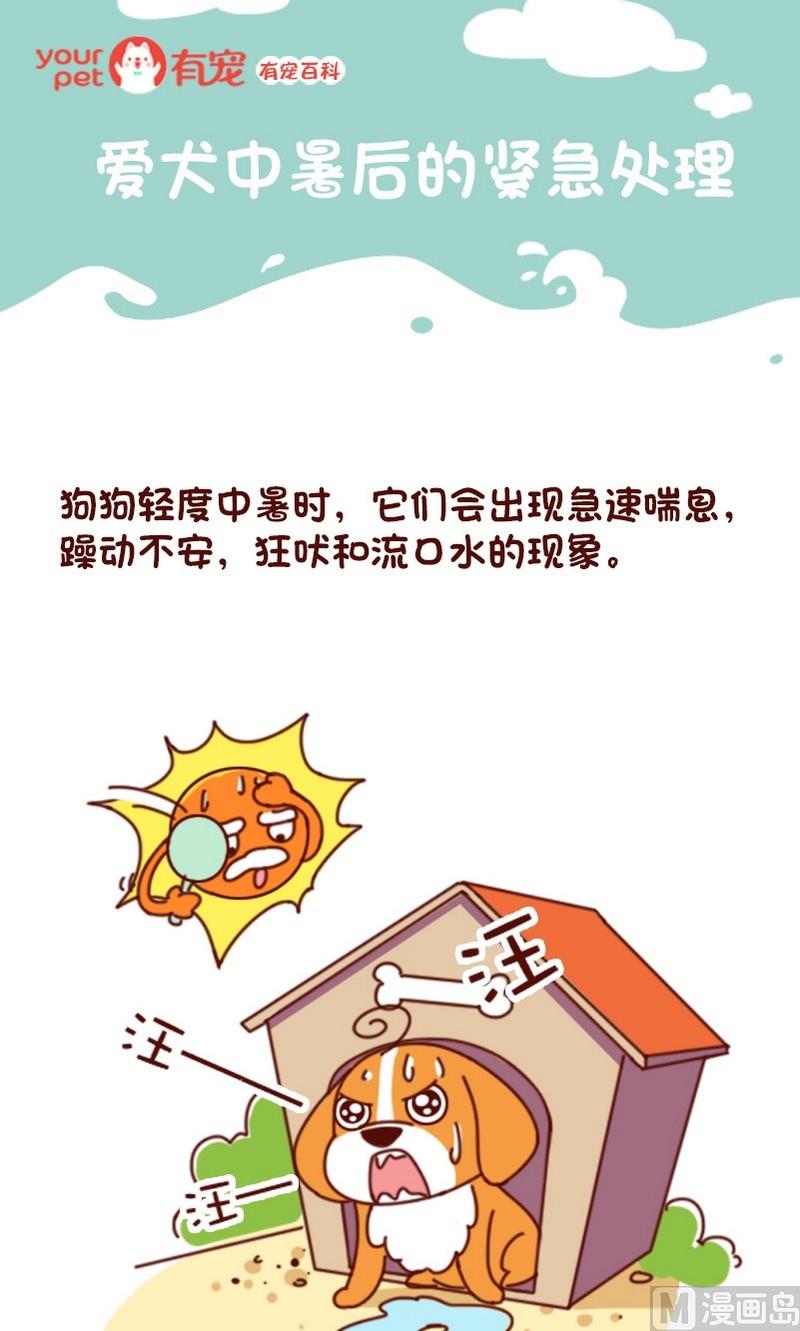 🍜有宠百科 第63话 第1页