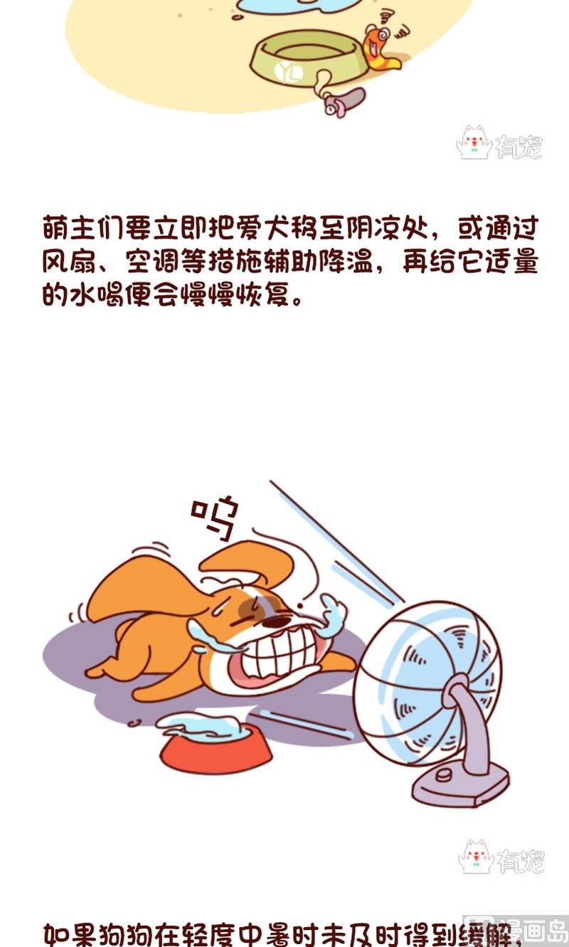 🍜有宠百科 第63话 第2页