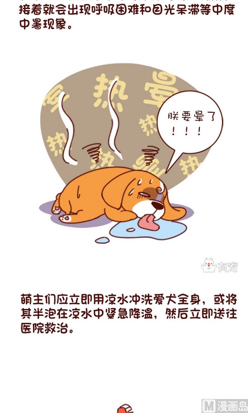 🍜有宠百科 第63话 第3页
