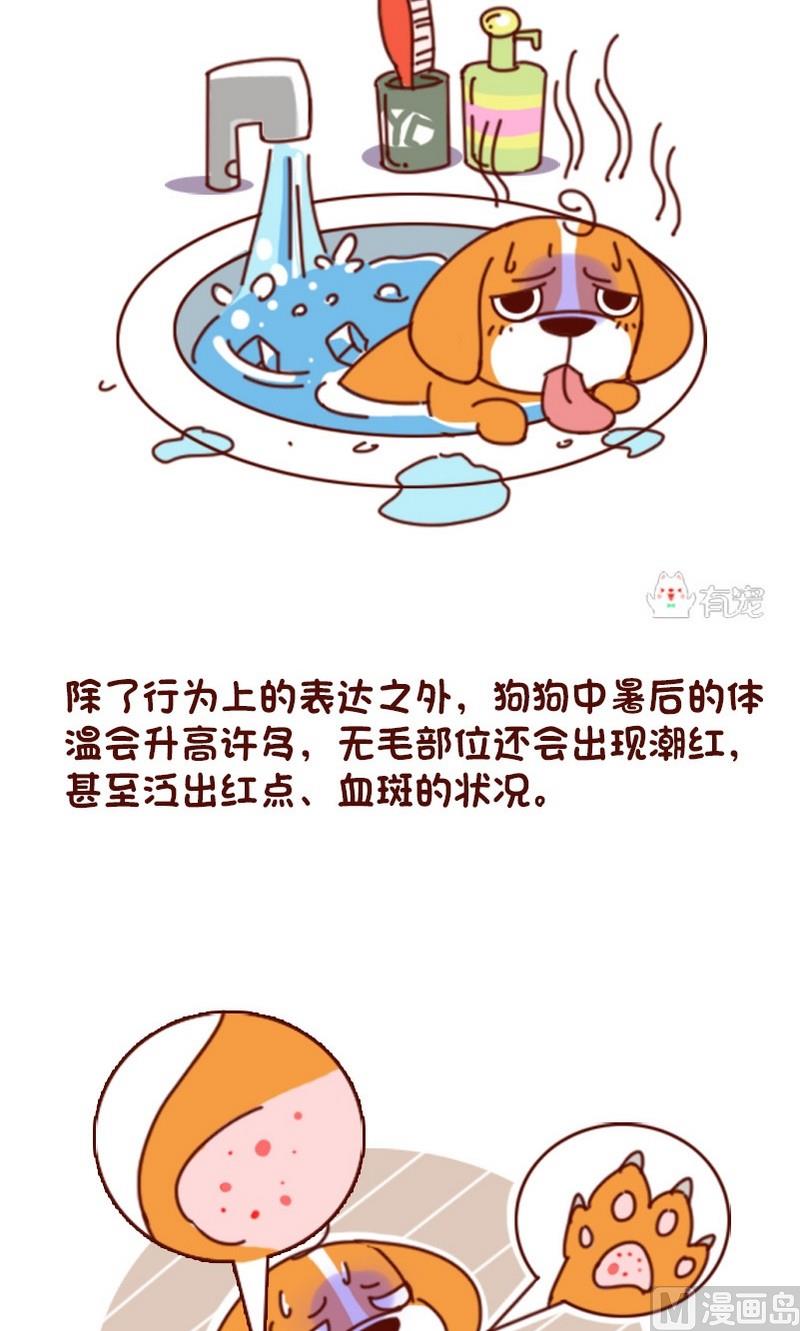 🍜有宠百科 第63话 第4页