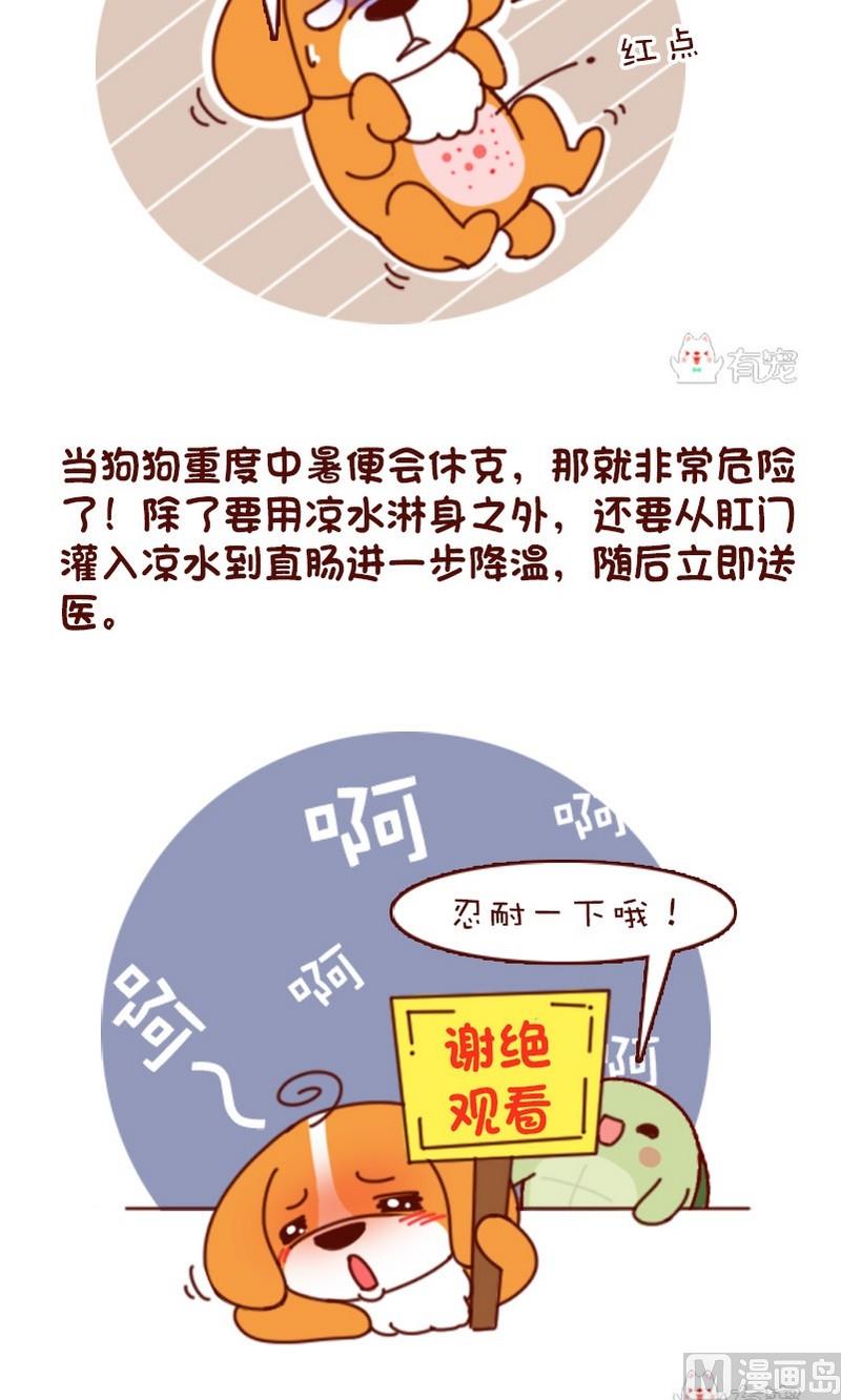 🍜有宠百科 第63话 第5页