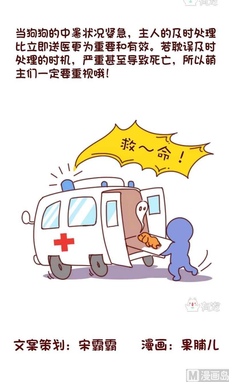 🍜有宠百科 第63话 第6页
