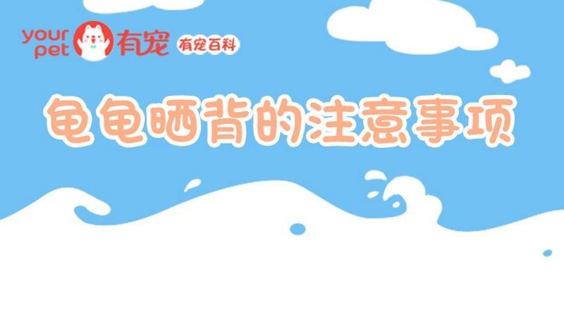 🍜有宠百科 第65话 第1页