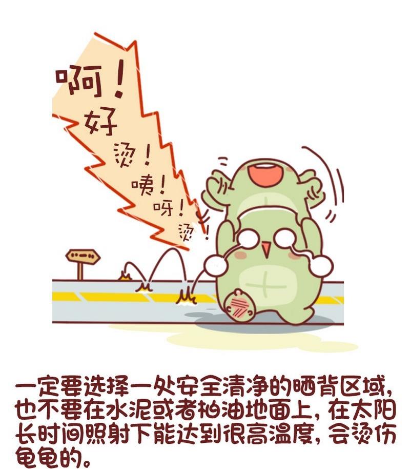 🍜有宠百科 第65话 第17页