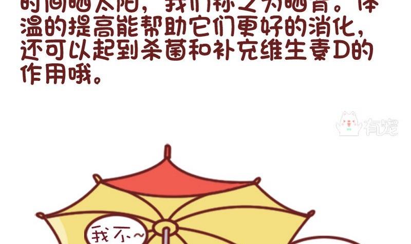 🍜有宠百科 第65话 第4页