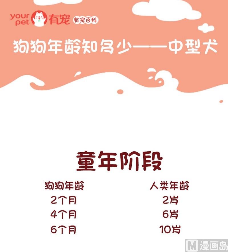 🍜有宠百科 第67话 第1页