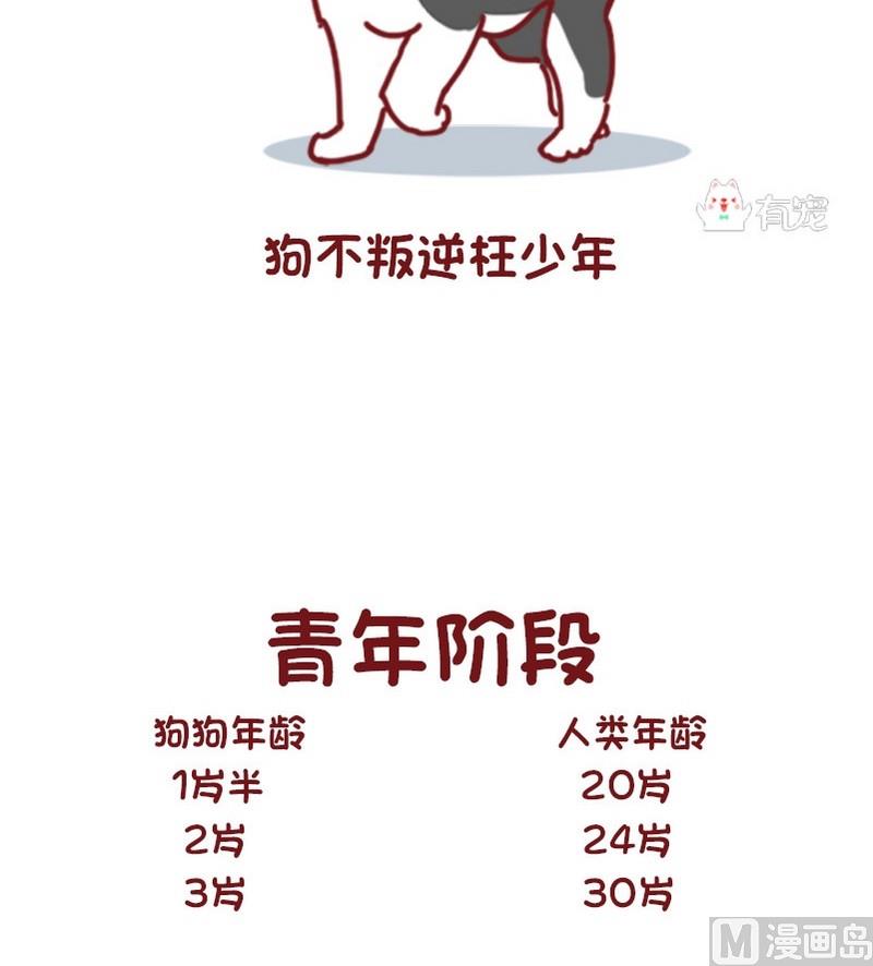 🍜有宠百科 第67话 第4页