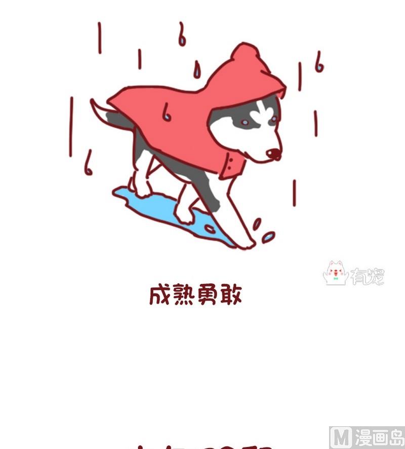 🍜有宠百科 第67话 第5页