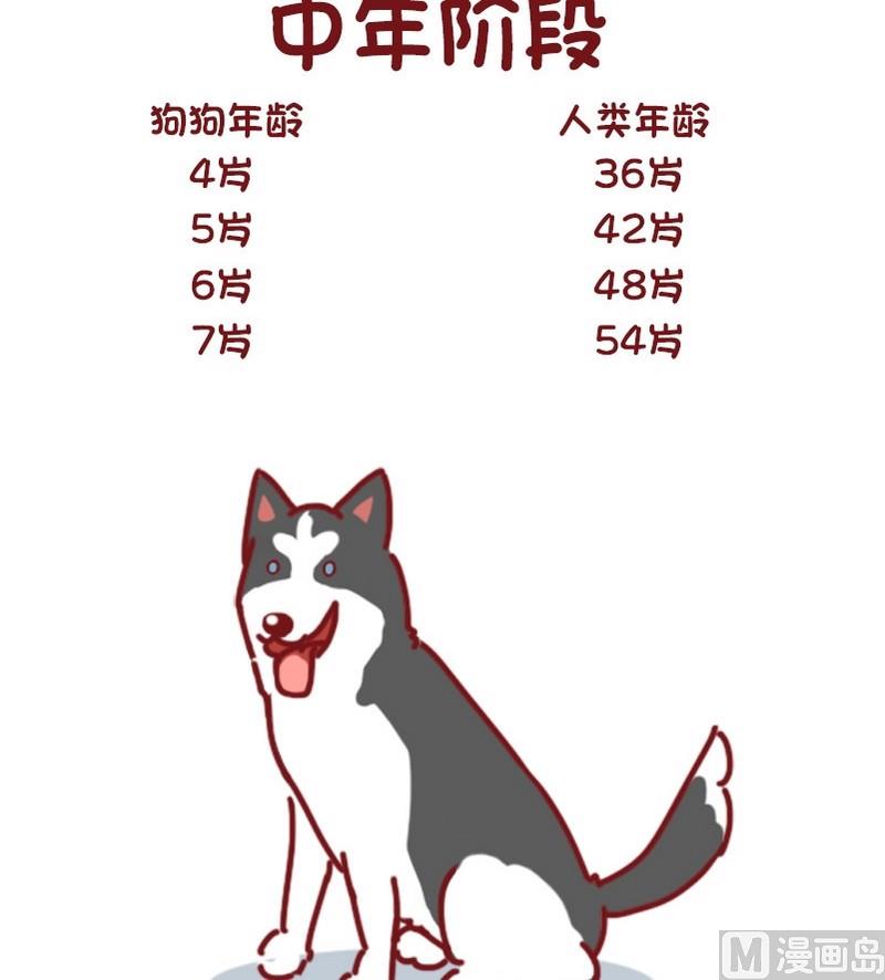 🍜有宠百科 第67话 第6页