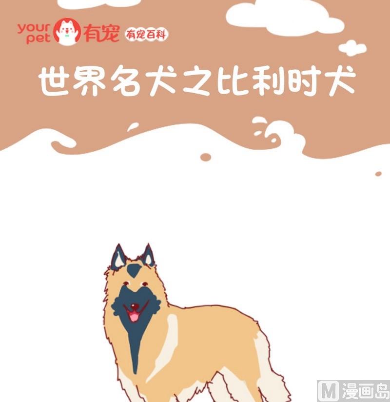 🍜有宠百科 第69话 第1页