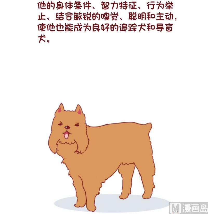 🍜有宠百科 第69话 第6页
