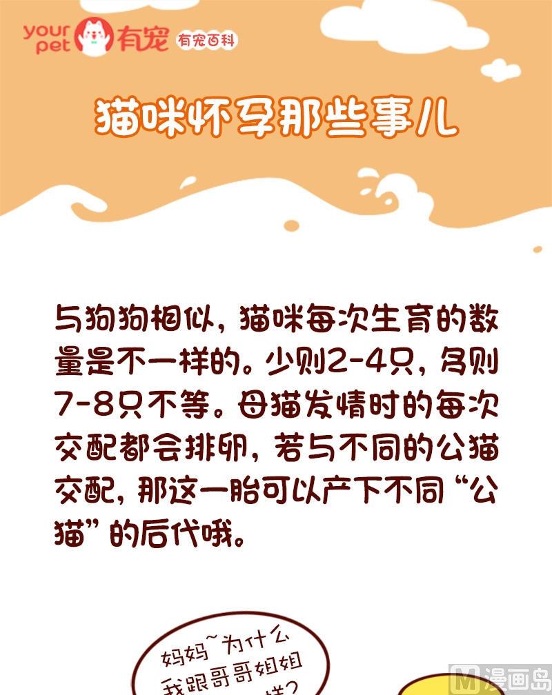 🍜有宠百科 第71话 第1页