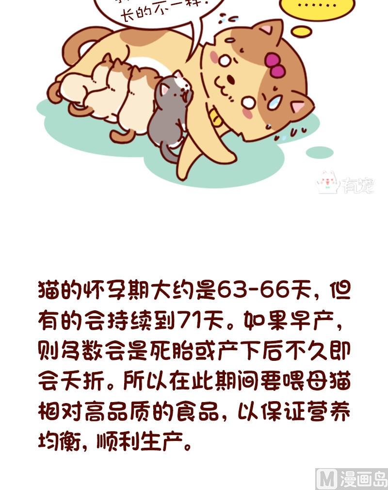 🍜有宠百科 第71话 第2页