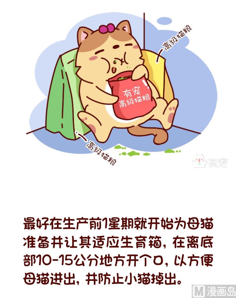 🍜有宠百科 第71话 第3页
