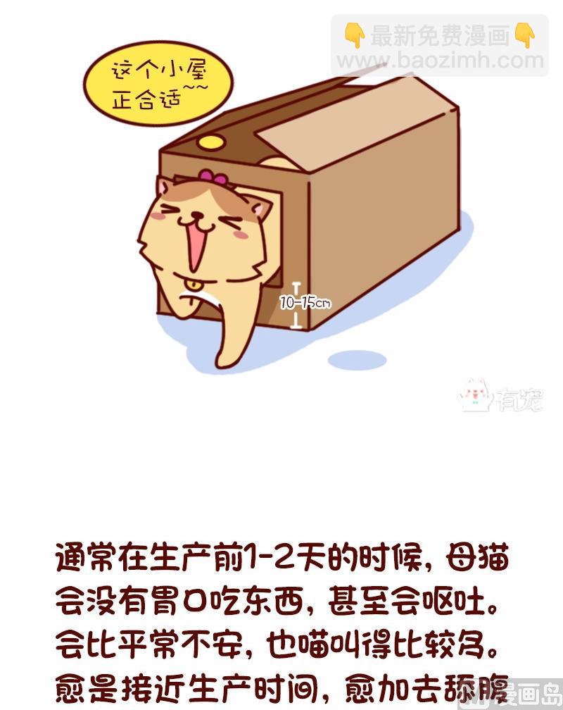 🍜有宠百科 第71话 第4页