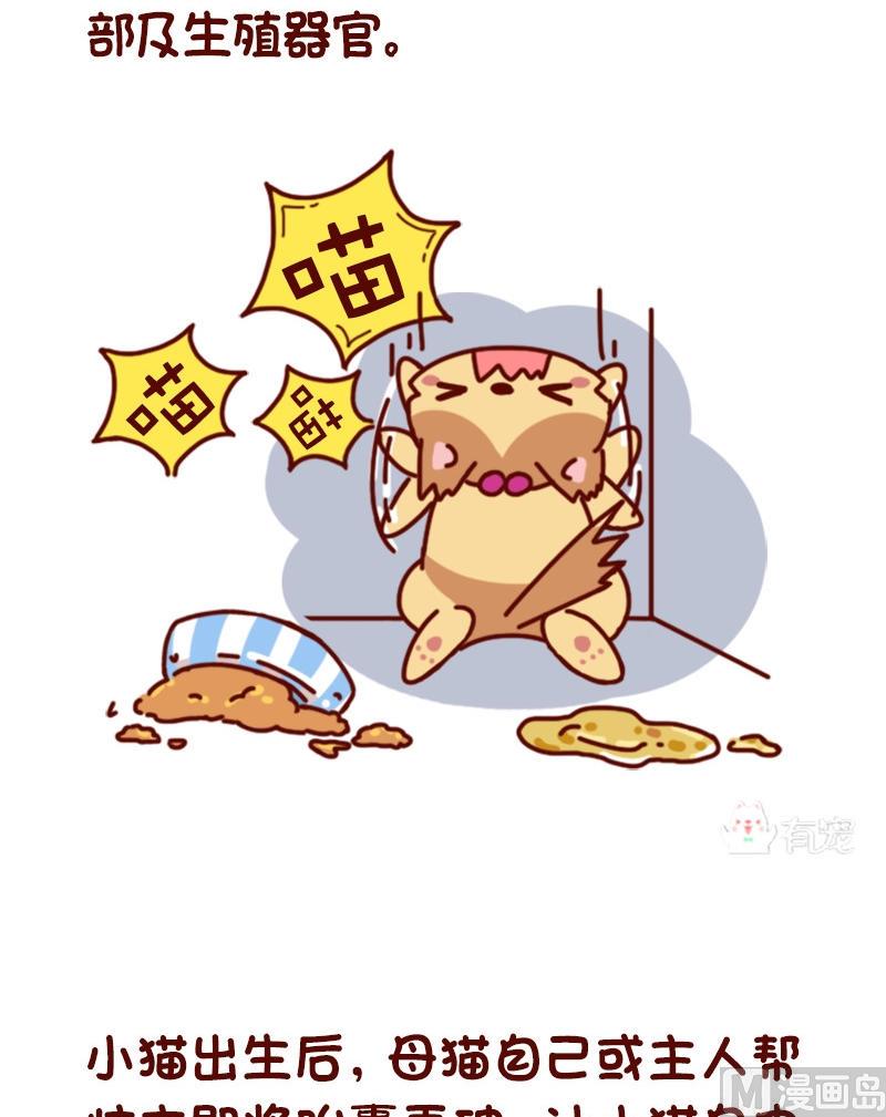 🍜有宠百科 第71话 第5页