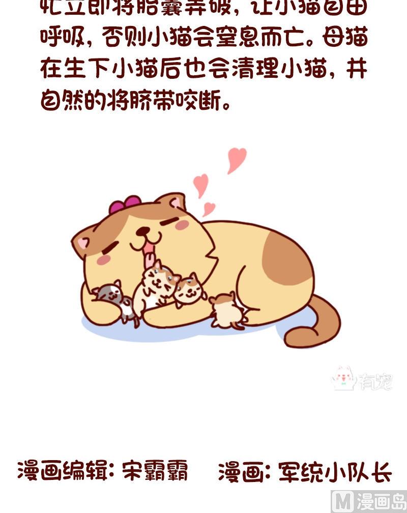 🍜有宠百科 第71话 第6页