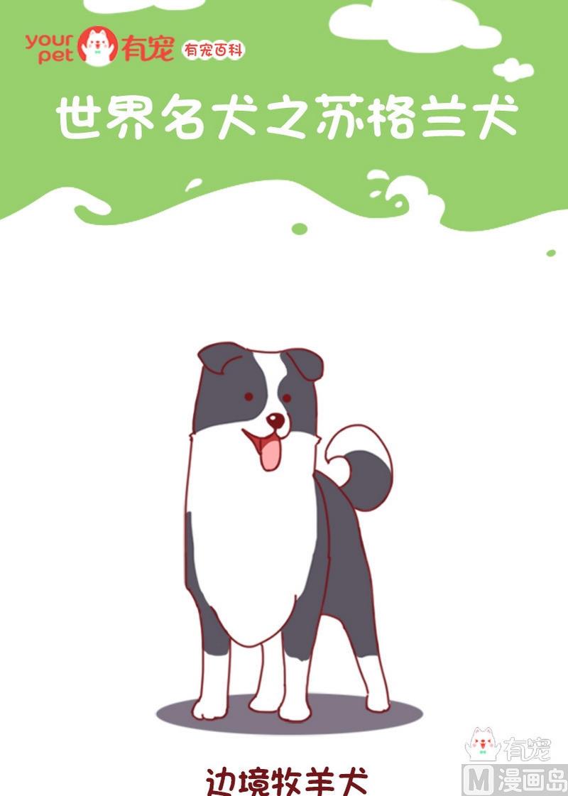🍜有宠百科 第73话 第1页