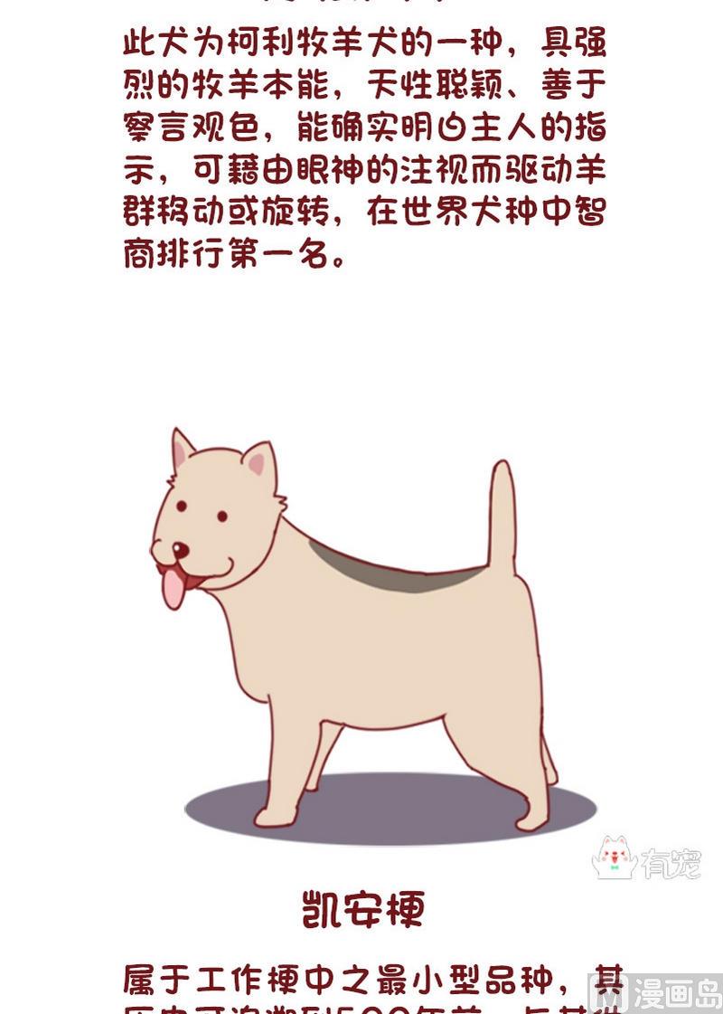 🍜有宠百科 第73话 第2页