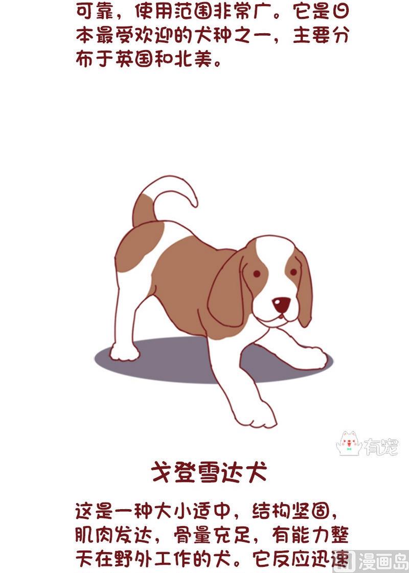 🍜有宠百科 第73话 第4页