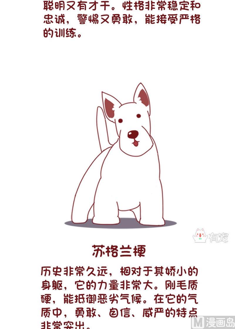 🍜有宠百科 第73话 第5页