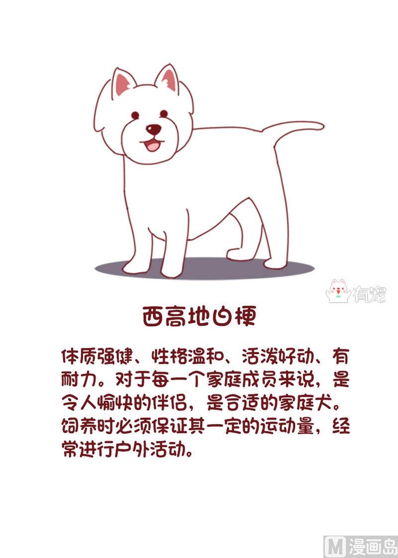 🍜有宠百科 第73话 第7页