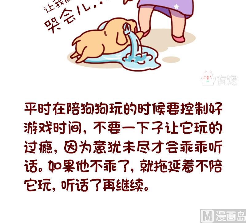 🍜有宠百科 第75话 第4页