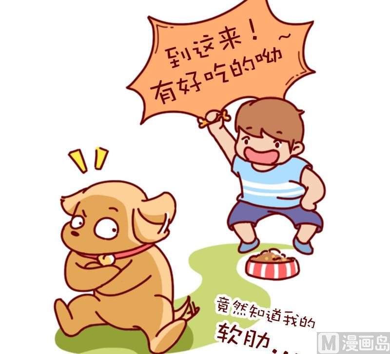 🍜有宠百科 第75话 第7页