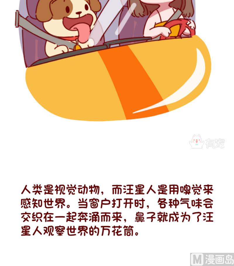 🍜有宠百科 第79话 第3页