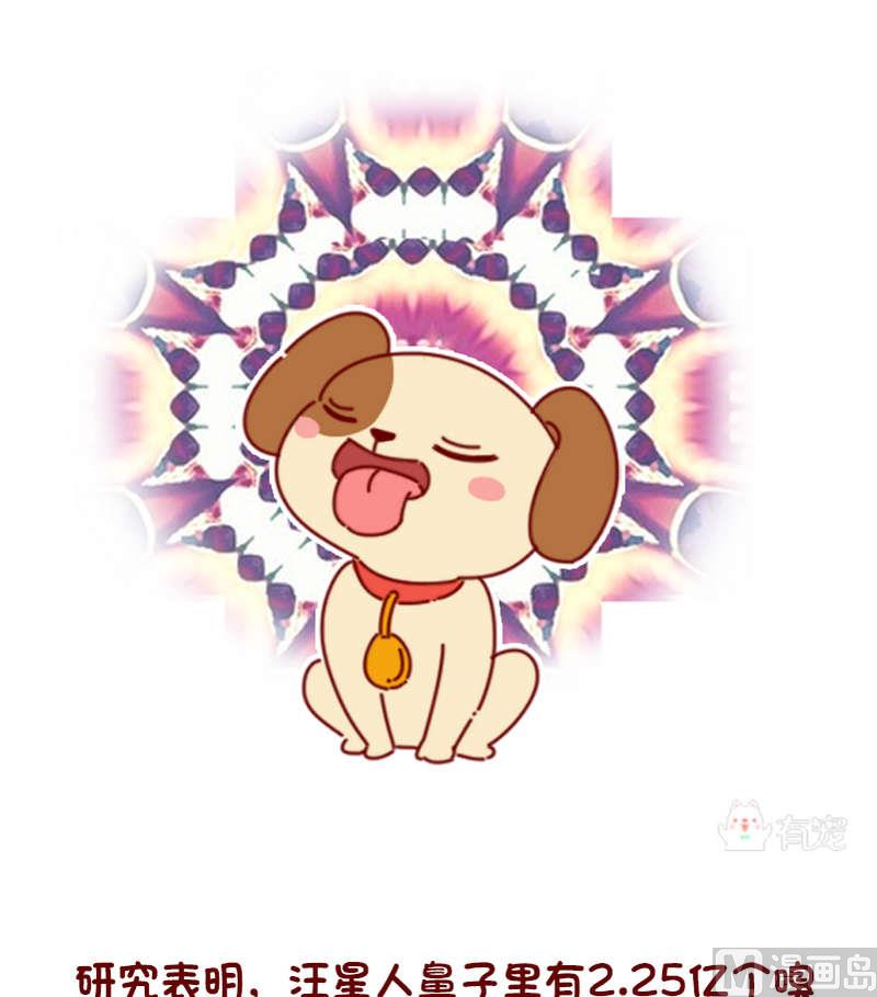 🍜有宠百科 第79话 第4页
