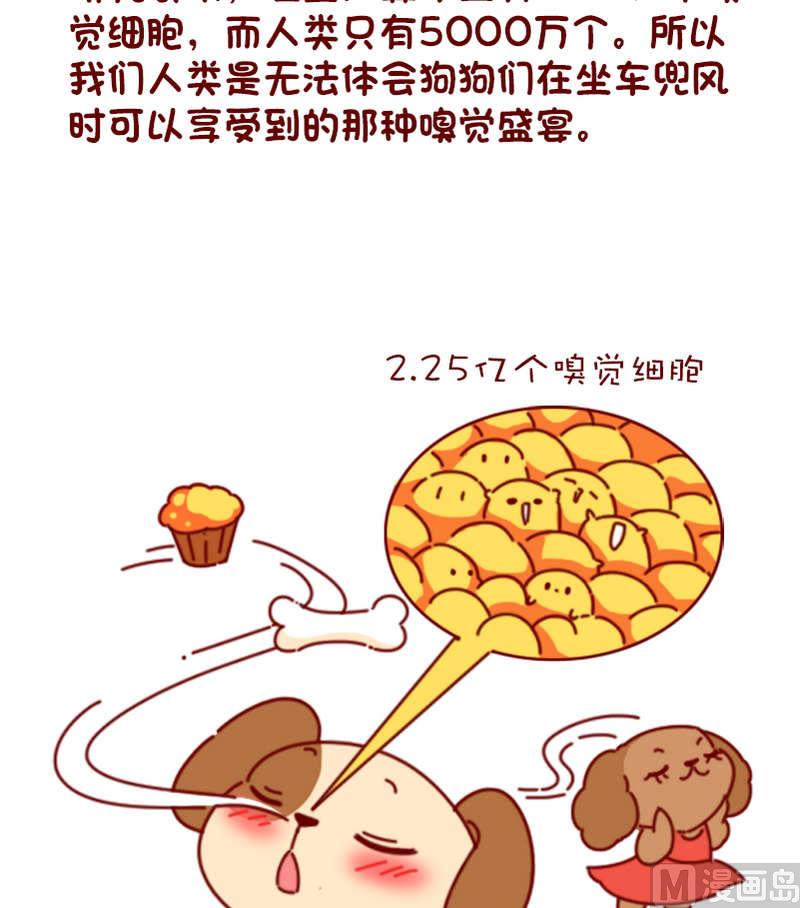 🍜有宠百科 第79话 第5页