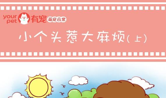🍜有宠百科 第9话 第1页