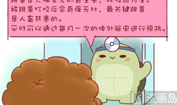 🍜有宠百科 第9话 第12页