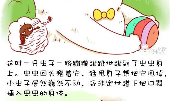 🍜有宠百科 第9话 第4页