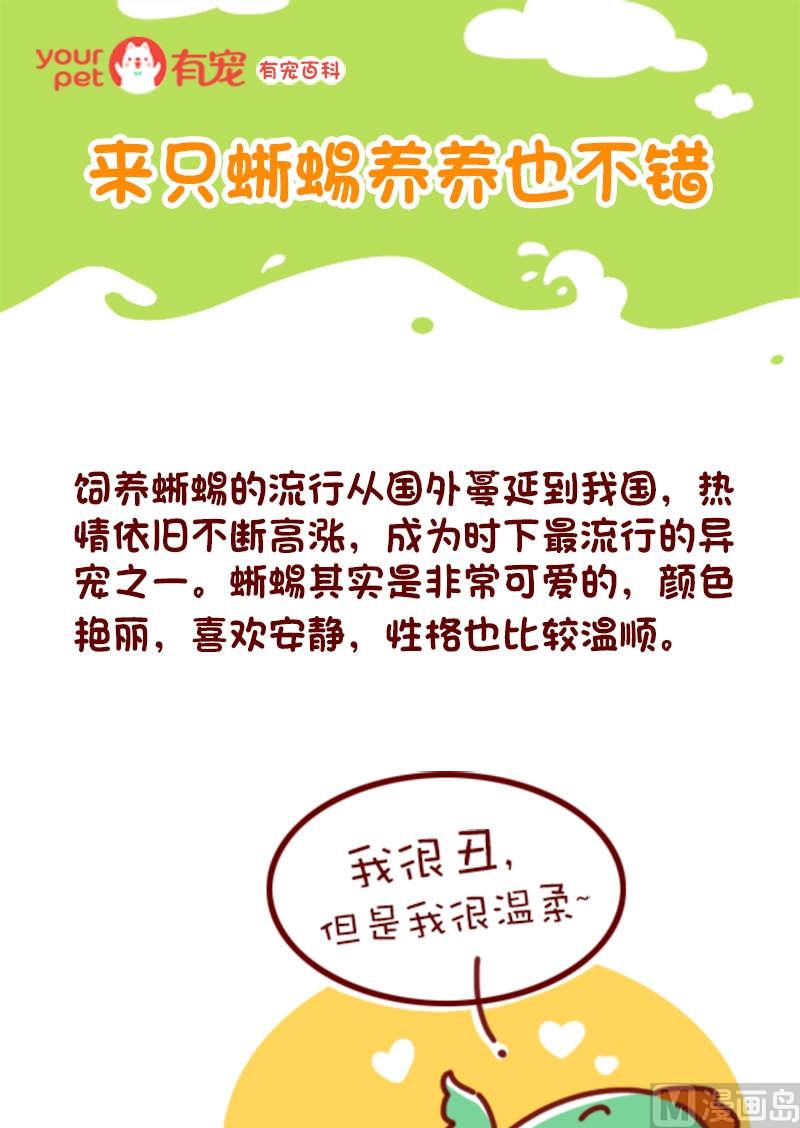 🍜有宠百科 第81话 第1页