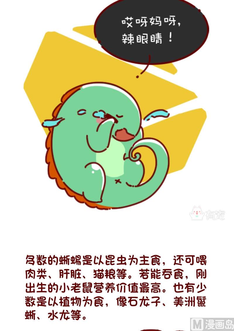🍜有宠百科 第81话 第10页
