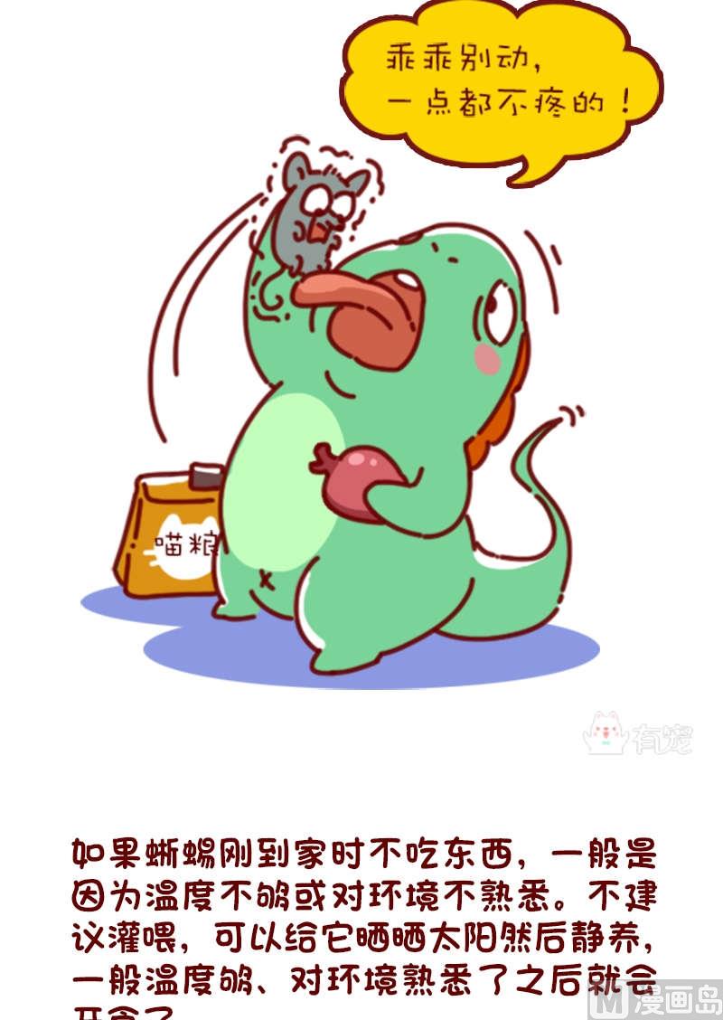 🍜有宠百科 第81话 第11页