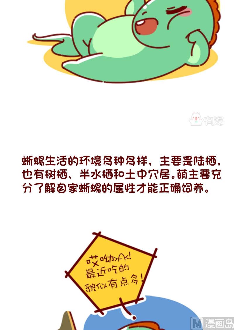 🍜有宠百科 第81话 第2页