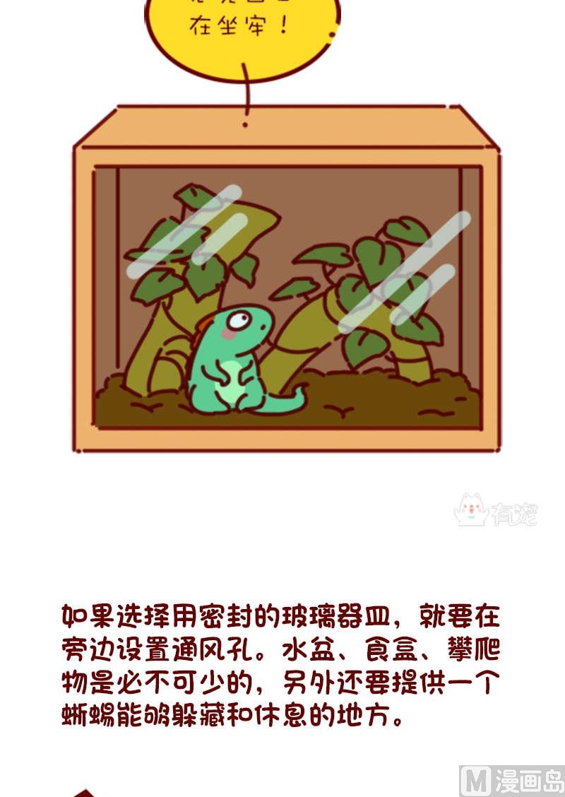 🍜有宠百科 第81话 第4页