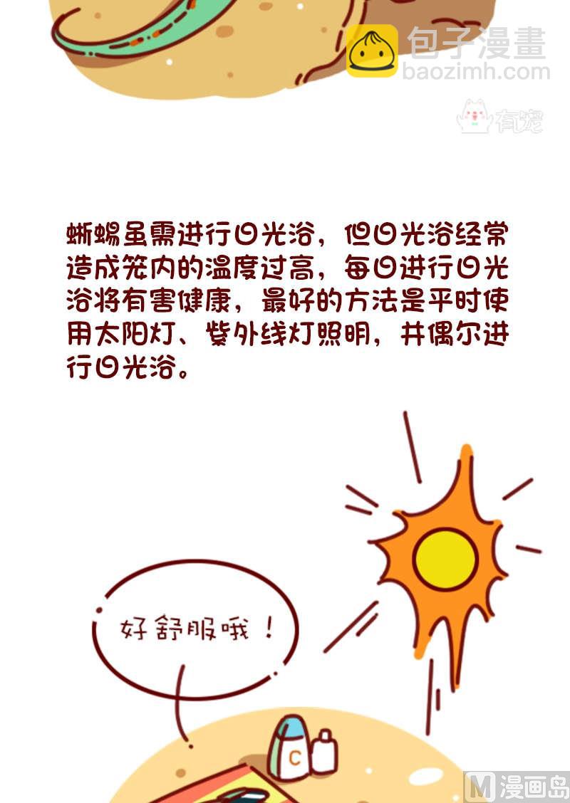 🍜有宠百科 第81话 第7页