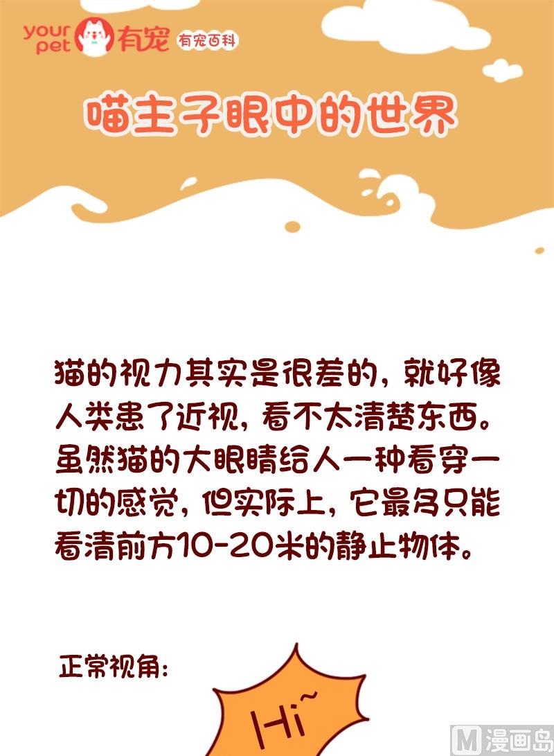 🍜有宠百科 第83话 第1页