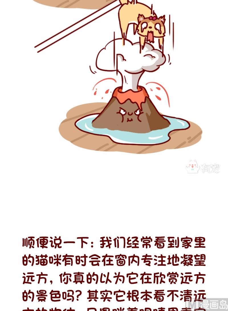 🍜有宠百科 第83话 第11页